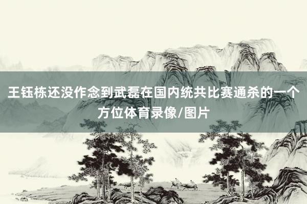 王钰栋还没作念到武磊在国内统共比赛通杀的一个方位体育录像/图片